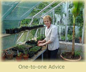 Link to One to one advice