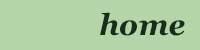 Home button