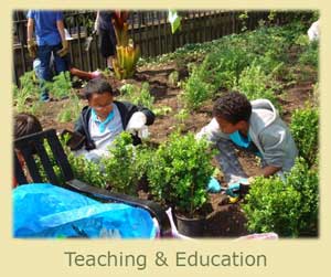 Link to Teaching page